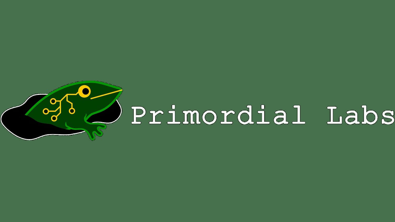 Primordial Labs official wordmark. Company identity only; not a photograph of an installed Anura vehicle system.