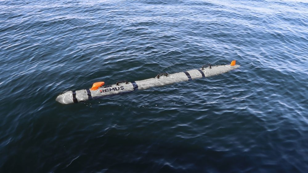 REMUS 300, the small underwater vehicle design selected for the U.S. Navy Lionfish programme. Manufacturer photograph.